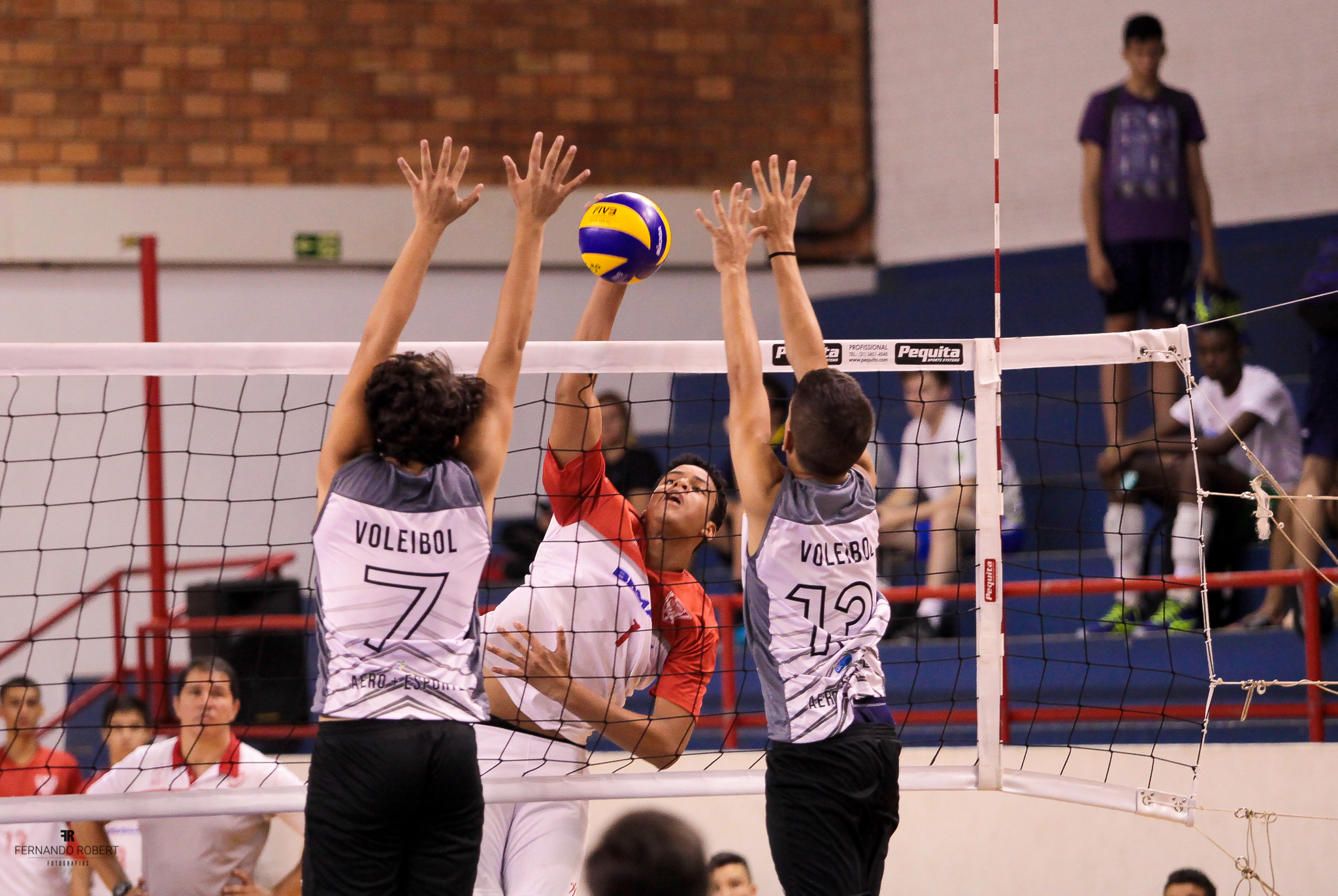 Sport/INE fecha disputa do Brasileiro Interclubes de Vôlei Feminino Sub-17  com ponteira de Pernambuco na seleção - Esportes DP