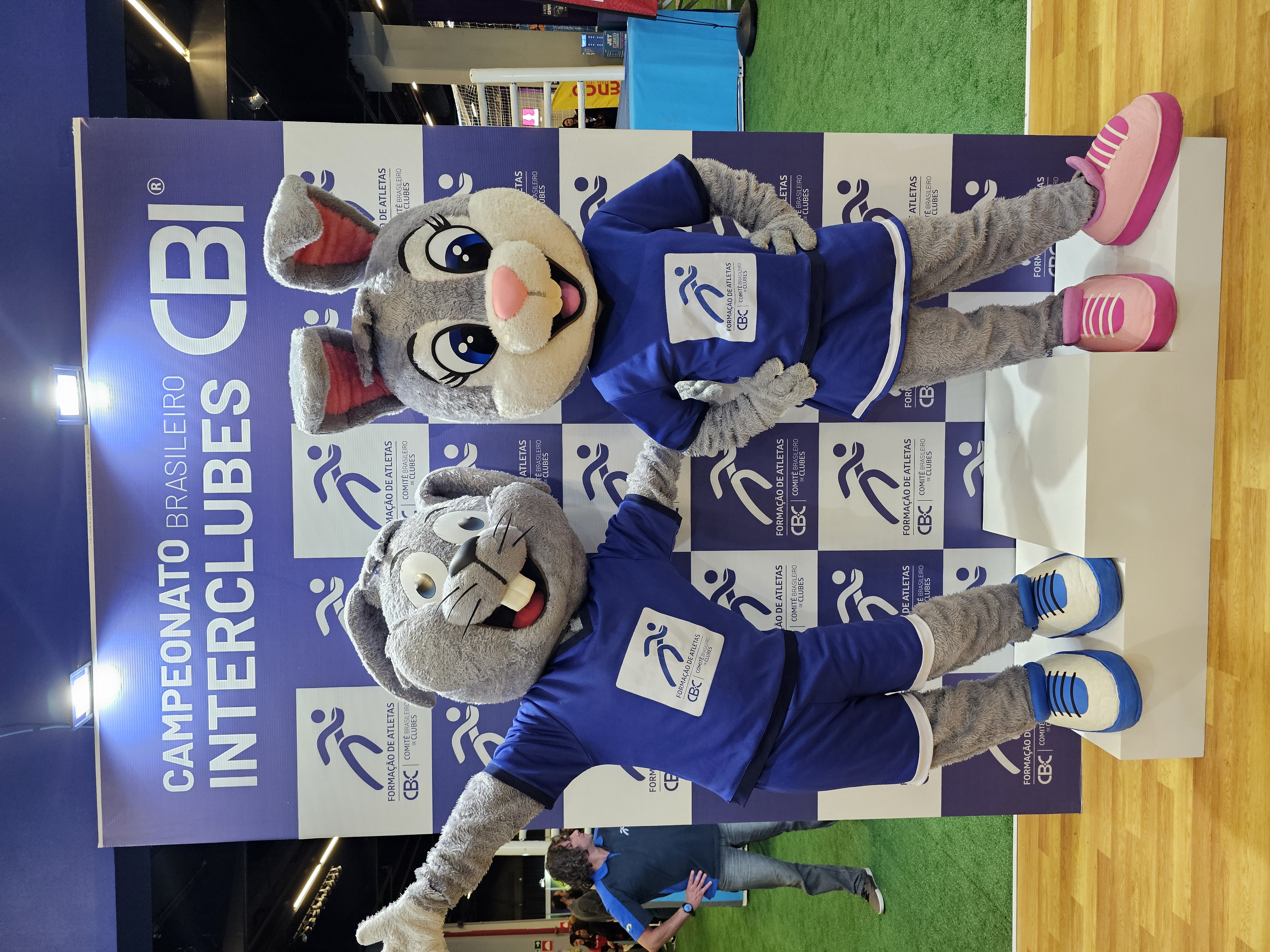 Foto Mascotes